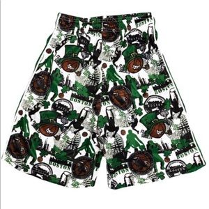 Flow Society Boston Hoops Shorts